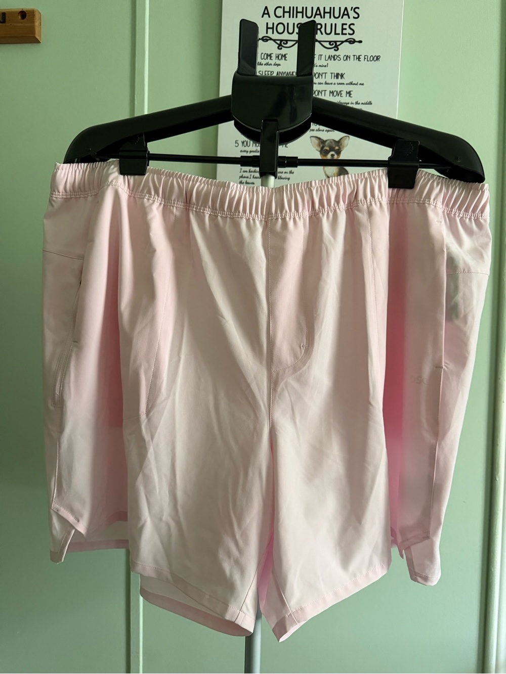 DSG Light Pink Agility Shorts Size XXL